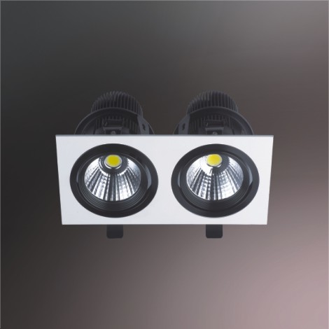 MG20-COB12Wx2
